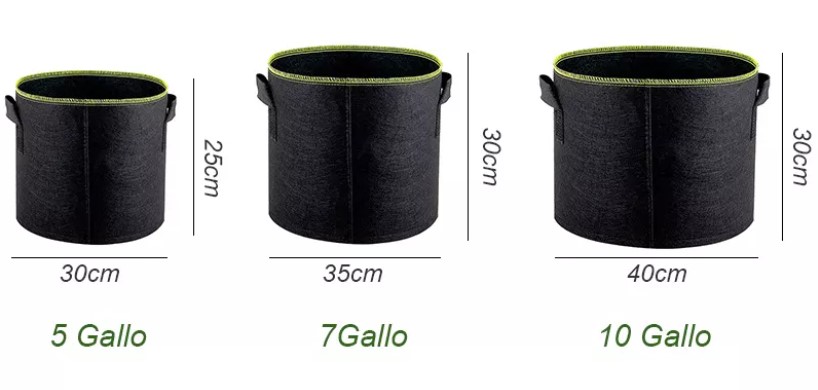 grow bag size.jpg