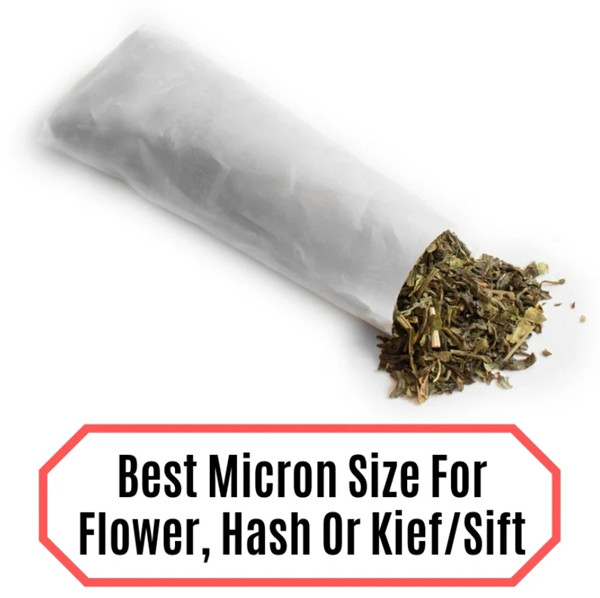 How To Select the Best Rosin Filter Bags.jpg